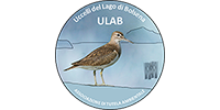 Ulab – Uccelli del lago di Bolsena